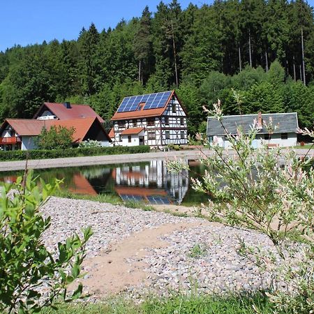 Ferienwohnung Nuessleshof Fambach Екстер'єр фото