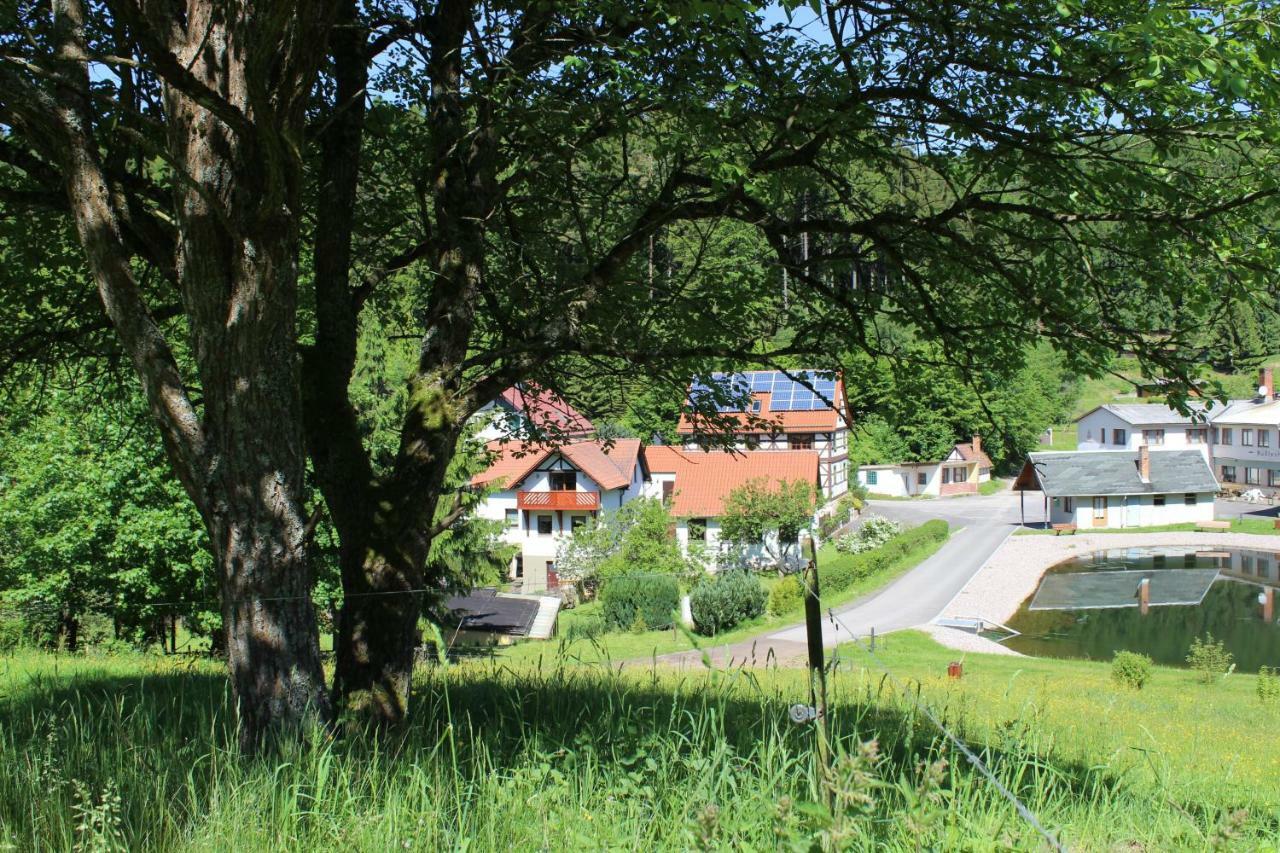 Ferienwohnung Nuessleshof Fambach Екстер'єр фото